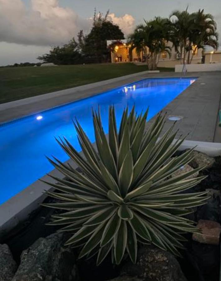 Lejos Eco Retreat Otel Vieques Dış mekan fotoğraf