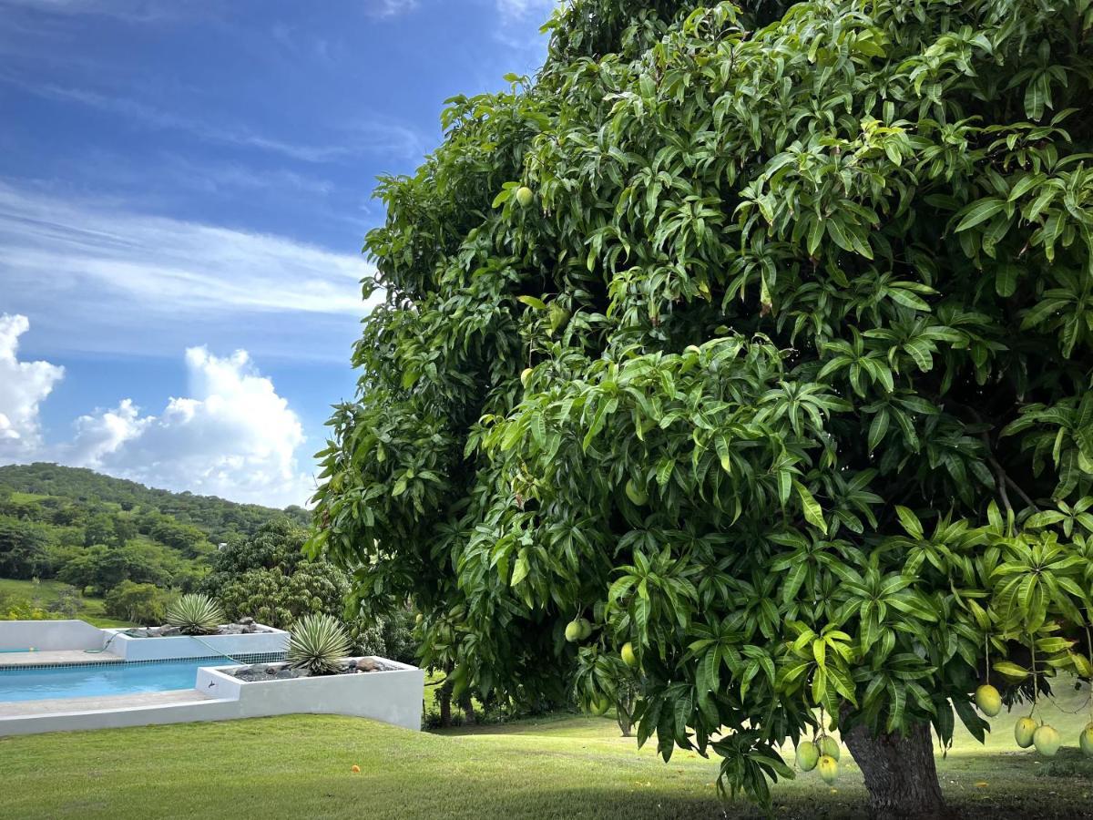 Lejos Eco Retreat Otel Vieques Dış mekan fotoğraf