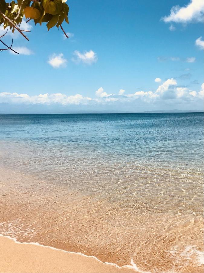 Lejos Eco Retreat Otel Vieques Dış mekan fotoğraf