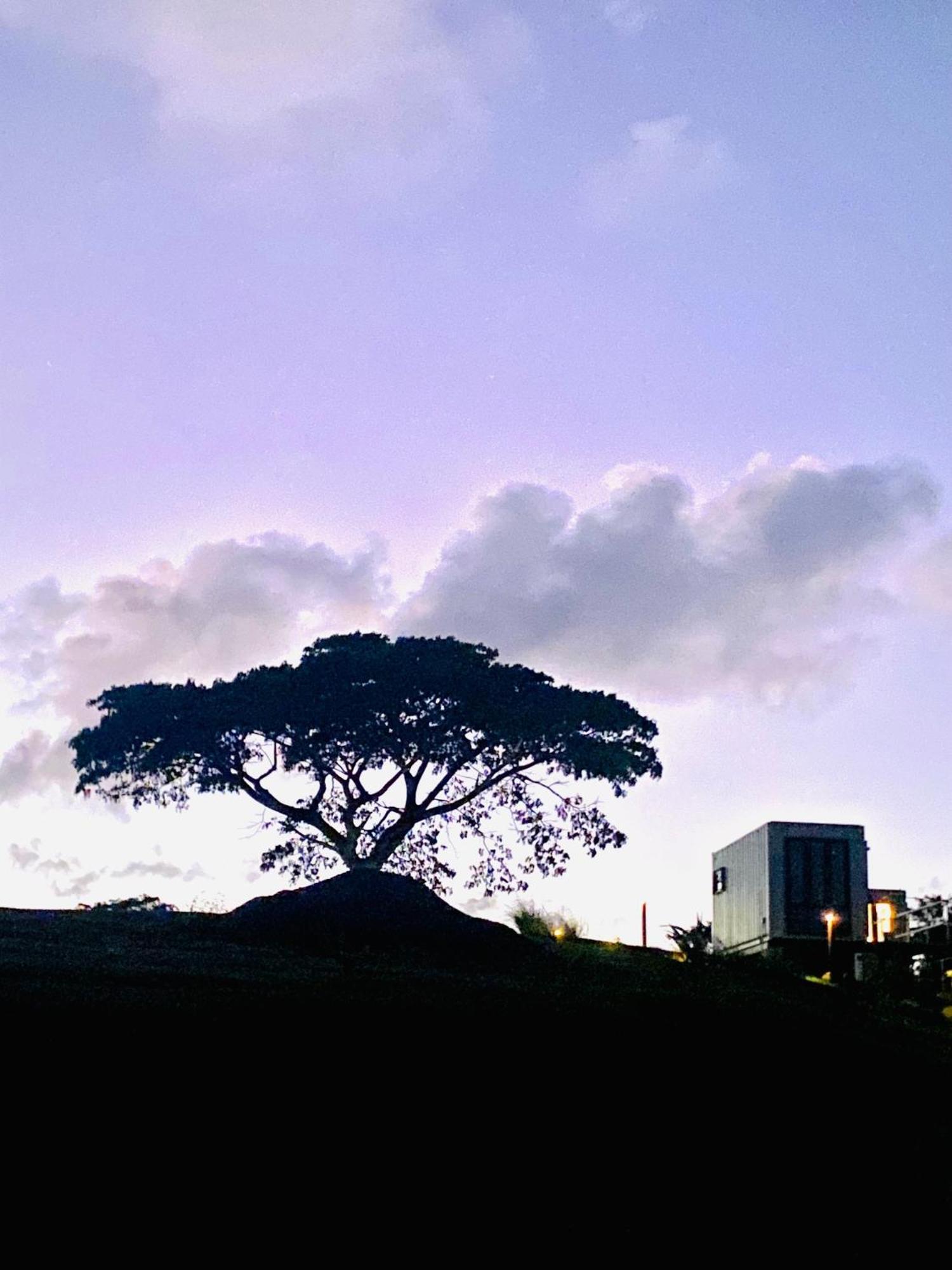 Lejos Eco Retreat Otel Vieques Dış mekan fotoğraf